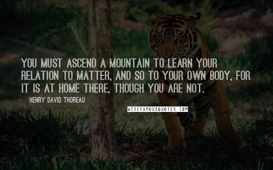Henry David Thoreau Quotes: You must ascend a mountain to learn your relation to matter, and so to your own body, for it is at home there, though you are not.