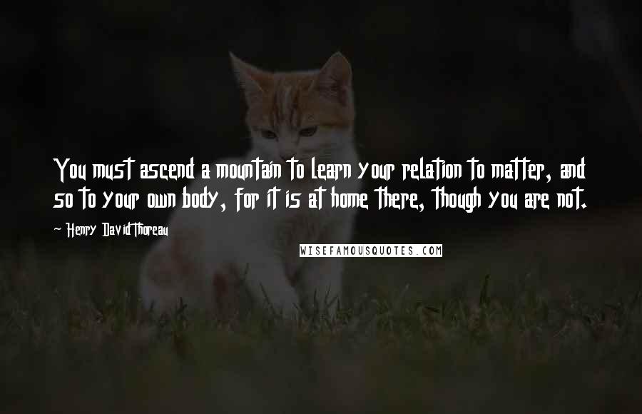 Henry David Thoreau Quotes: You must ascend a mountain to learn your relation to matter, and so to your own body, for it is at home there, though you are not.