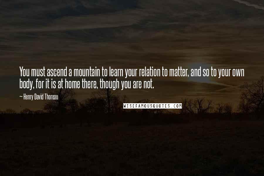 Henry David Thoreau Quotes: You must ascend a mountain to learn your relation to matter, and so to your own body, for it is at home there, though you are not.