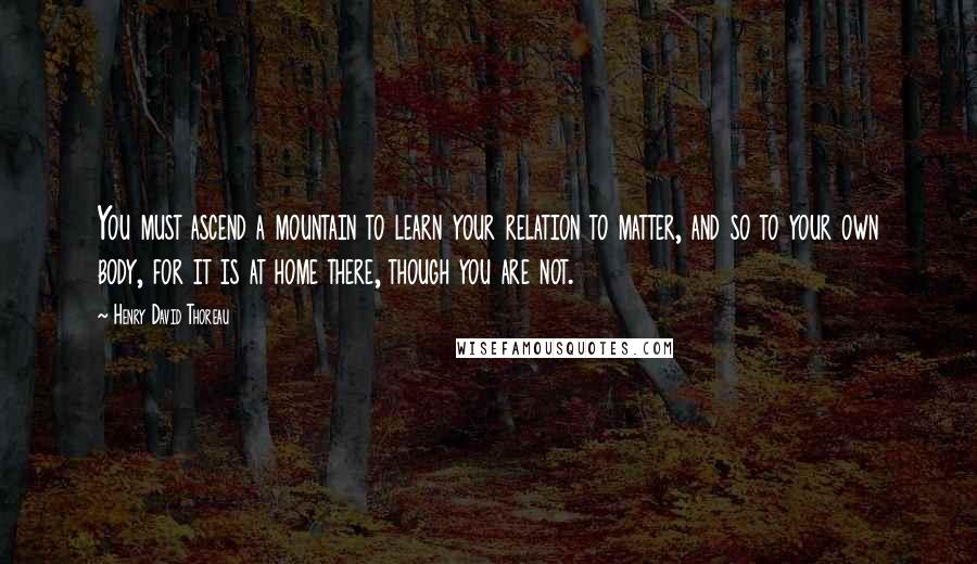Henry David Thoreau Quotes: You must ascend a mountain to learn your relation to matter, and so to your own body, for it is at home there, though you are not.