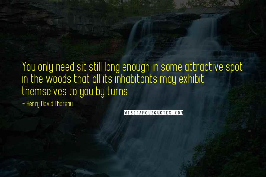Henry David Thoreau Quotes: You only need sit still long enough in some attractive spot in the woods that all its inhabitants may exhibit themselves to you by turns.