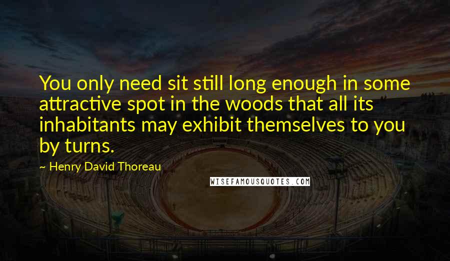 Henry David Thoreau Quotes: You only need sit still long enough in some attractive spot in the woods that all its inhabitants may exhibit themselves to you by turns.