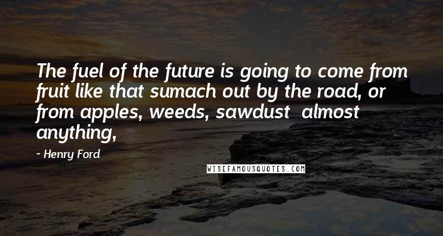 Henry Ford Quotes: The fuel of the future is going to come from fruit like that sumach out by the road, or from apples, weeds, sawdust  almost anything,