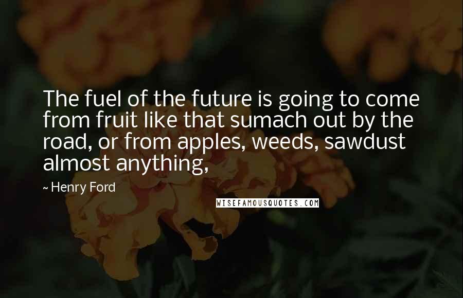 Henry Ford Quotes: The fuel of the future is going to come from fruit like that sumach out by the road, or from apples, weeds, sawdust  almost anything,