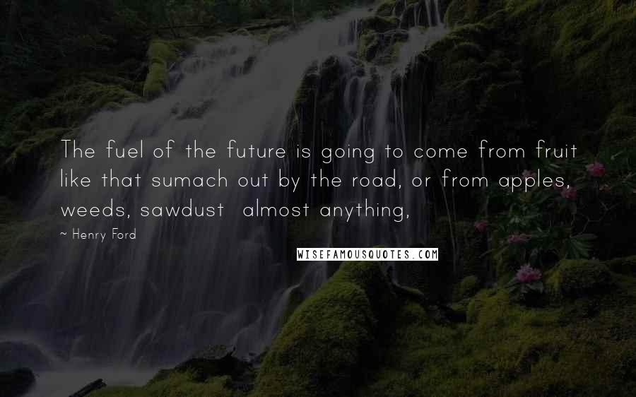 Henry Ford Quotes: The fuel of the future is going to come from fruit like that sumach out by the road, or from apples, weeds, sawdust  almost anything,