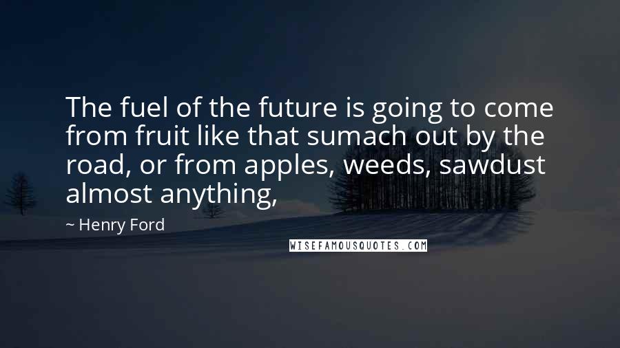 Henry Ford Quotes: The fuel of the future is going to come from fruit like that sumach out by the road, or from apples, weeds, sawdust  almost anything,