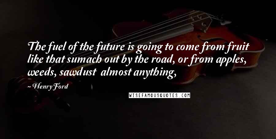 Henry Ford Quotes: The fuel of the future is going to come from fruit like that sumach out by the road, or from apples, weeds, sawdust  almost anything,