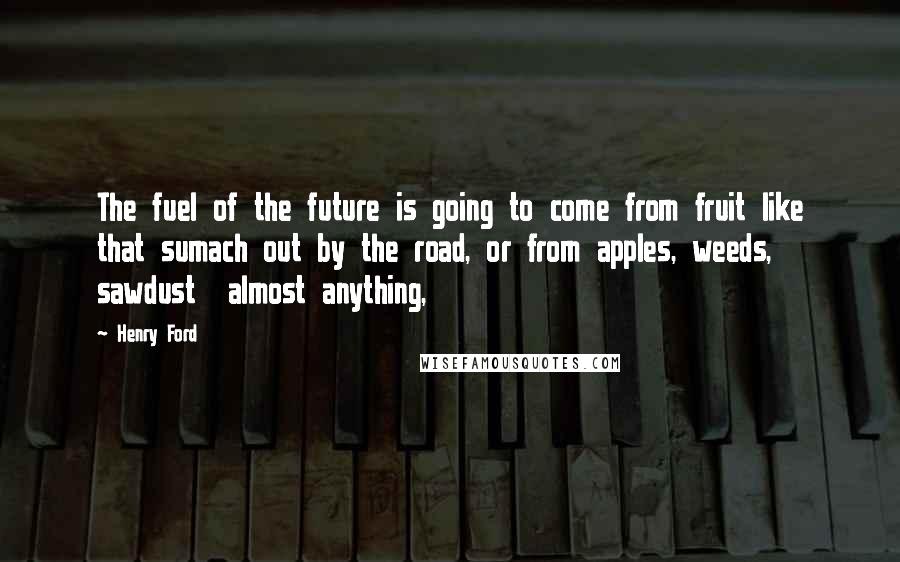 Henry Ford Quotes: The fuel of the future is going to come from fruit like that sumach out by the road, or from apples, weeds, sawdust  almost anything,