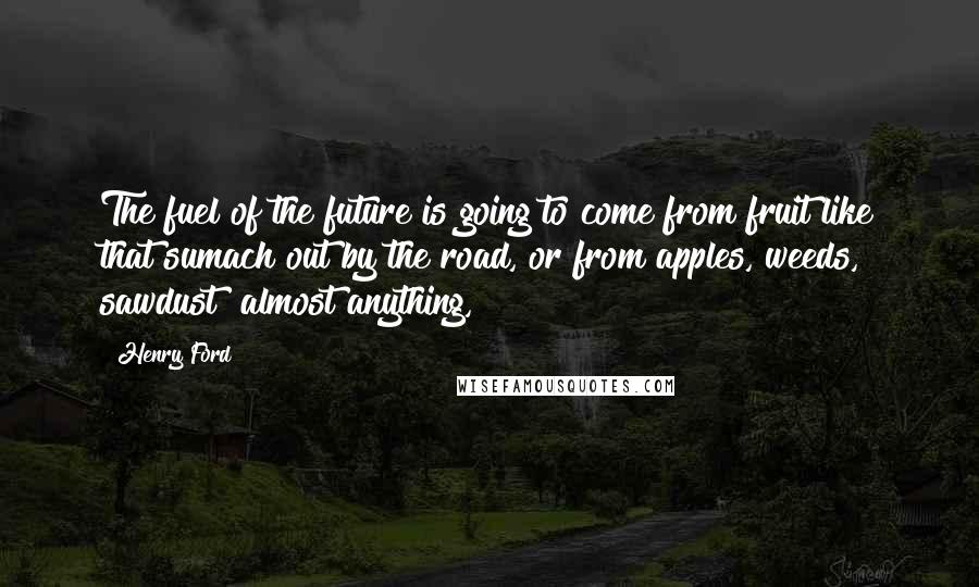 Henry Ford Quotes: The fuel of the future is going to come from fruit like that sumach out by the road, or from apples, weeds, sawdust  almost anything,
