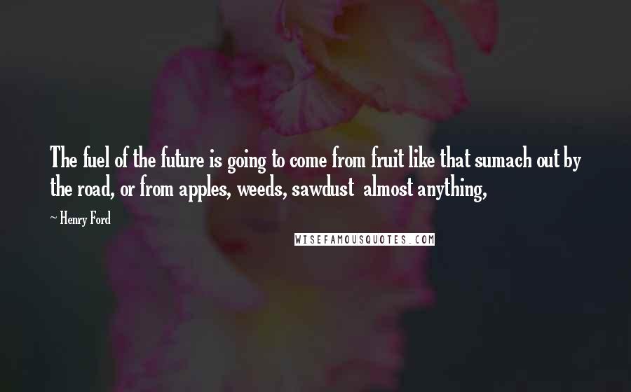 Henry Ford Quotes: The fuel of the future is going to come from fruit like that sumach out by the road, or from apples, weeds, sawdust  almost anything,