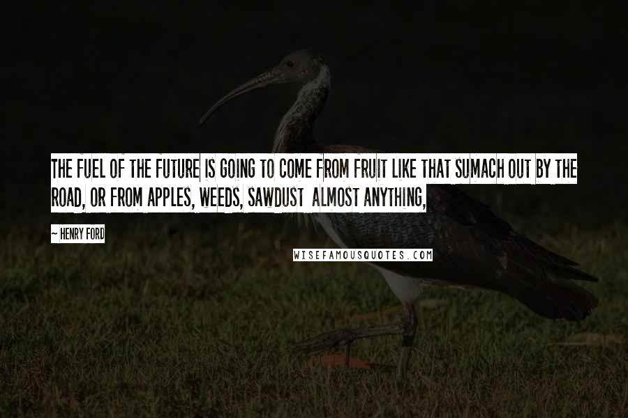 Henry Ford Quotes: The fuel of the future is going to come from fruit like that sumach out by the road, or from apples, weeds, sawdust  almost anything,