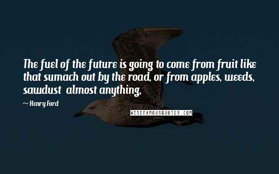 Henry Ford Quotes: The fuel of the future is going to come from fruit like that sumach out by the road, or from apples, weeds, sawdust  almost anything,