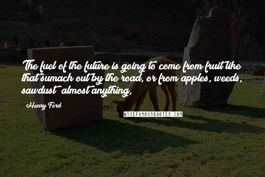 Henry Ford Quotes: The fuel of the future is going to come from fruit like that sumach out by the road, or from apples, weeds, sawdust  almost anything,