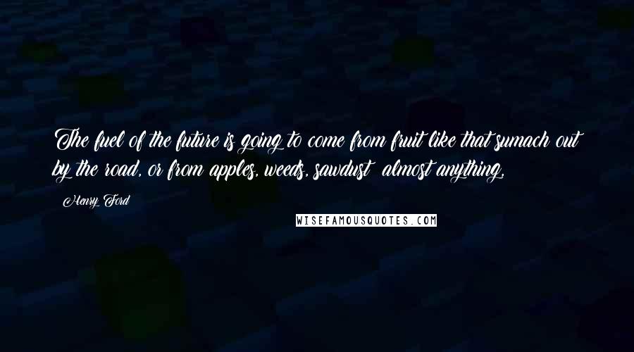 Henry Ford Quotes: The fuel of the future is going to come from fruit like that sumach out by the road, or from apples, weeds, sawdust  almost anything,