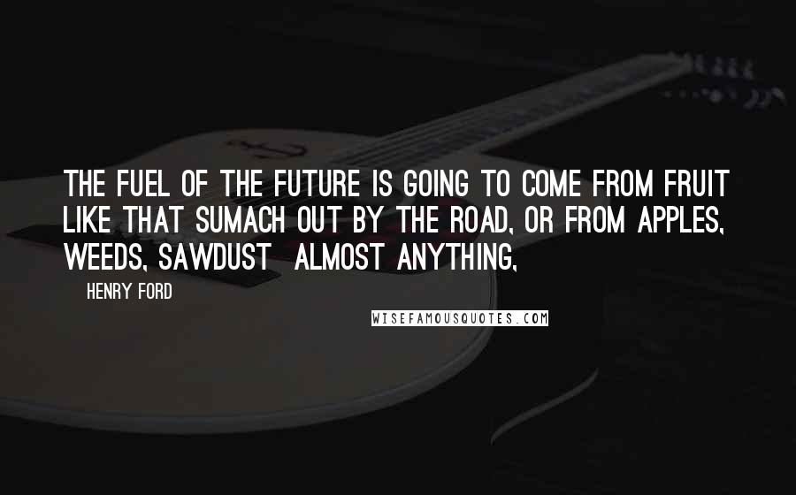Henry Ford Quotes: The fuel of the future is going to come from fruit like that sumach out by the road, or from apples, weeds, sawdust  almost anything,