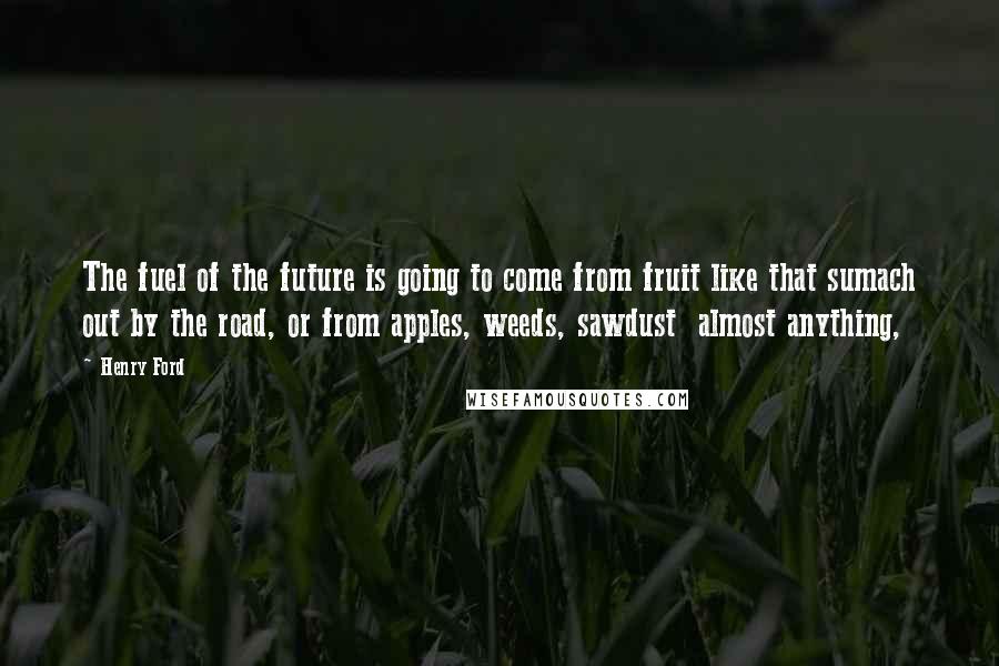 Henry Ford Quotes: The fuel of the future is going to come from fruit like that sumach out by the road, or from apples, weeds, sawdust  almost anything,