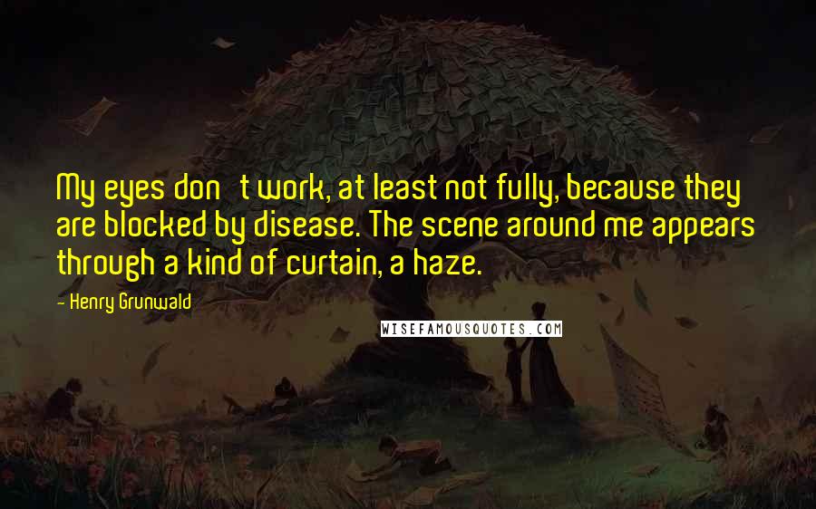 Henry Grunwald Quotes: My eyes don't work, at least not fully, because they are blocked by disease. The scene around me appears through a kind of curtain, a haze.