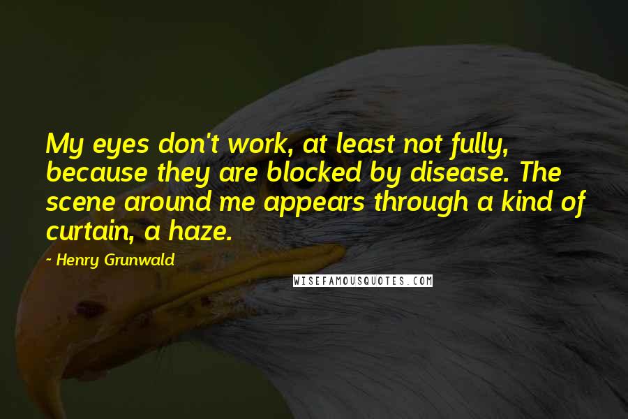 Henry Grunwald Quotes: My eyes don't work, at least not fully, because they are blocked by disease. The scene around me appears through a kind of curtain, a haze.