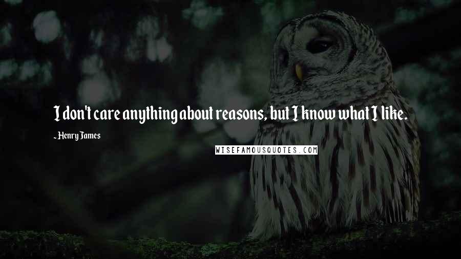 Henry James Quotes: I don't care anything about reasons, but I know what I like.