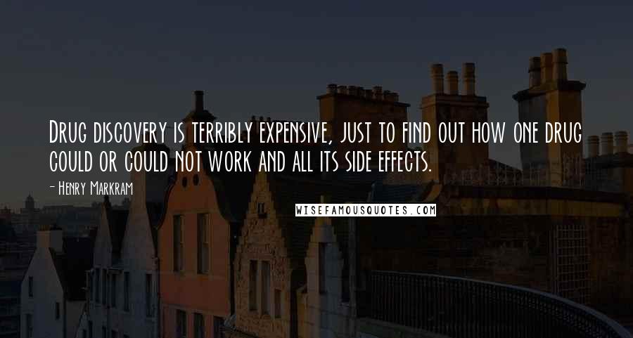 Henry Markram Quotes: Drug discovery is terribly expensive, just to find out how one drug could or could not work and all its side effects.