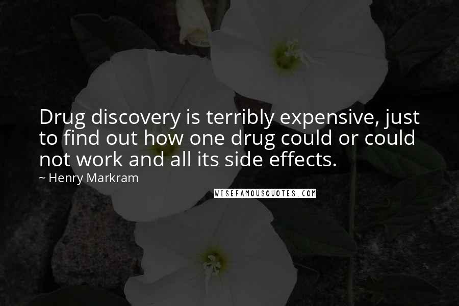 Henry Markram Quotes: Drug discovery is terribly expensive, just to find out how one drug could or could not work and all its side effects.