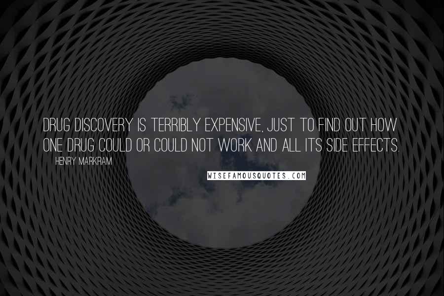 Henry Markram Quotes: Drug discovery is terribly expensive, just to find out how one drug could or could not work and all its side effects.