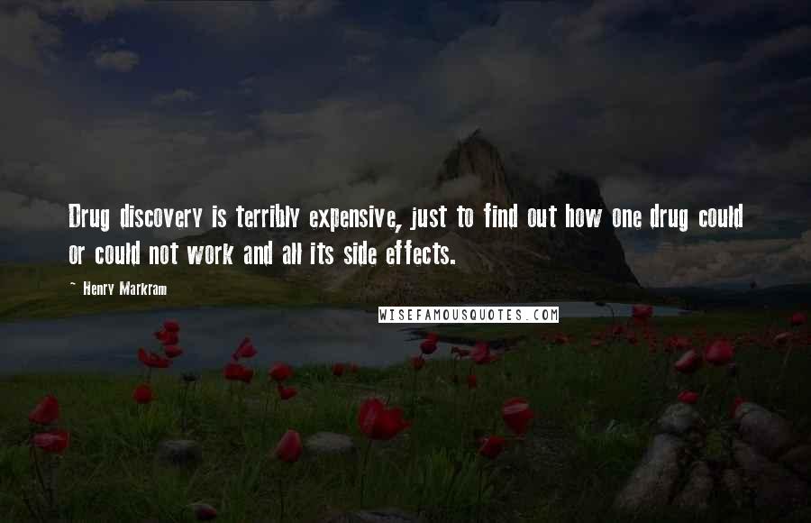 Henry Markram Quotes: Drug discovery is terribly expensive, just to find out how one drug could or could not work and all its side effects.