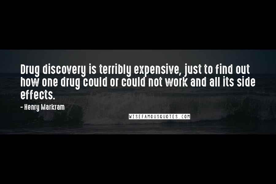 Henry Markram Quotes: Drug discovery is terribly expensive, just to find out how one drug could or could not work and all its side effects.