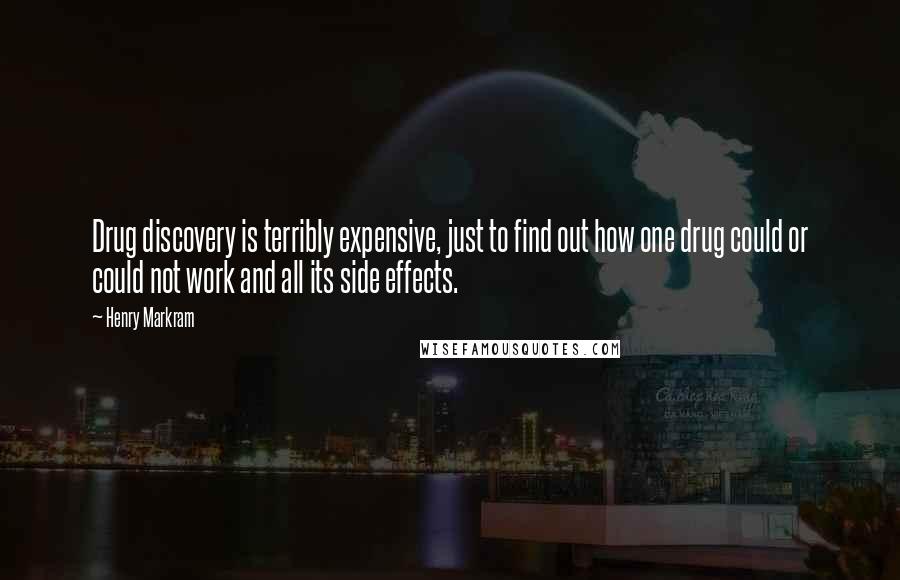 Henry Markram Quotes: Drug discovery is terribly expensive, just to find out how one drug could or could not work and all its side effects.