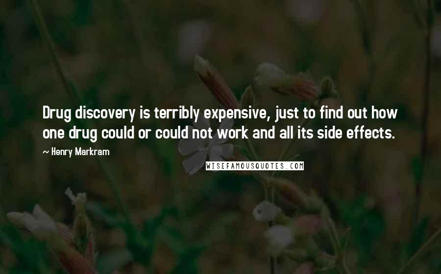 Henry Markram Quotes: Drug discovery is terribly expensive, just to find out how one drug could or could not work and all its side effects.