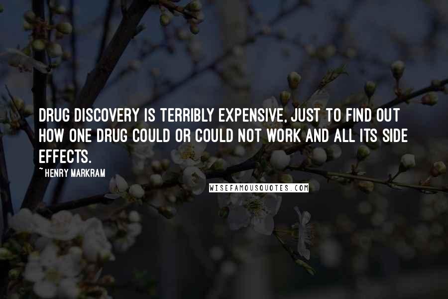 Henry Markram Quotes: Drug discovery is terribly expensive, just to find out how one drug could or could not work and all its side effects.