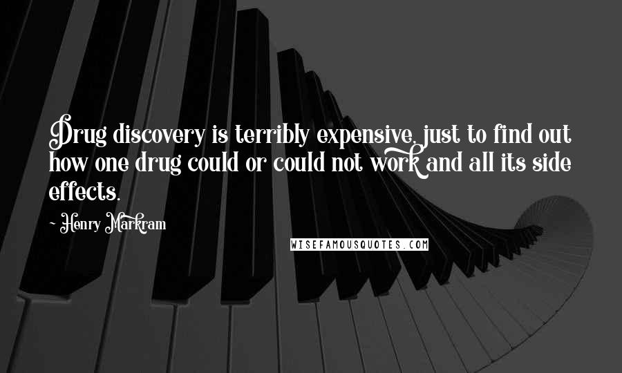 Henry Markram Quotes: Drug discovery is terribly expensive, just to find out how one drug could or could not work and all its side effects.