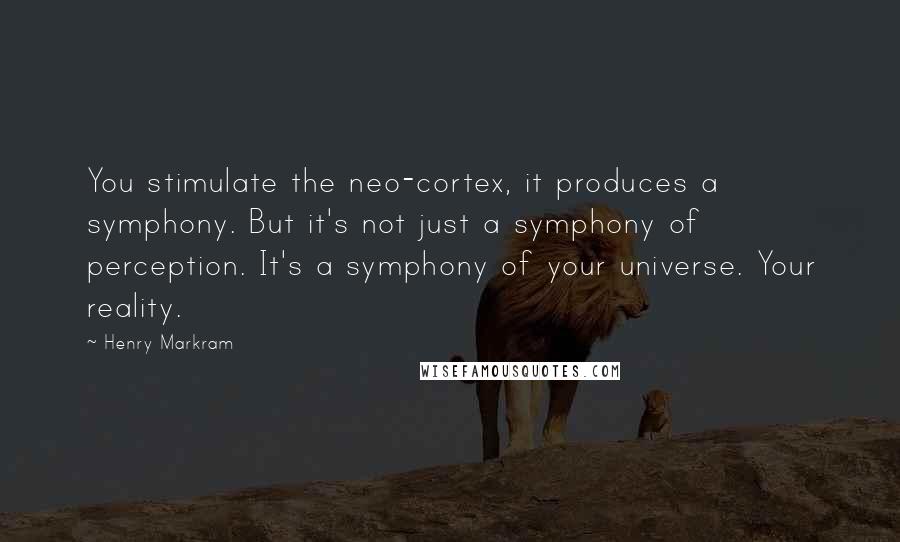 Henry Markram Quotes: You stimulate the neo-cortex, it produces a symphony. But it's not just a symphony of perception. It's a symphony of your universe. Your reality.