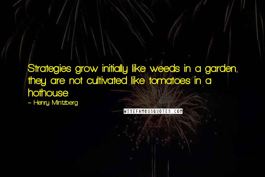 Henry Mintzberg Quotes: Strategies grow initially like weeds in a garden, they are not cultivated like tomatoes in a hothouse.