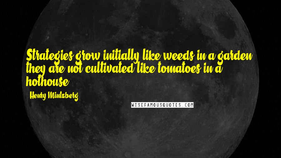 Henry Mintzberg Quotes: Strategies grow initially like weeds in a garden, they are not cultivated like tomatoes in a hothouse.