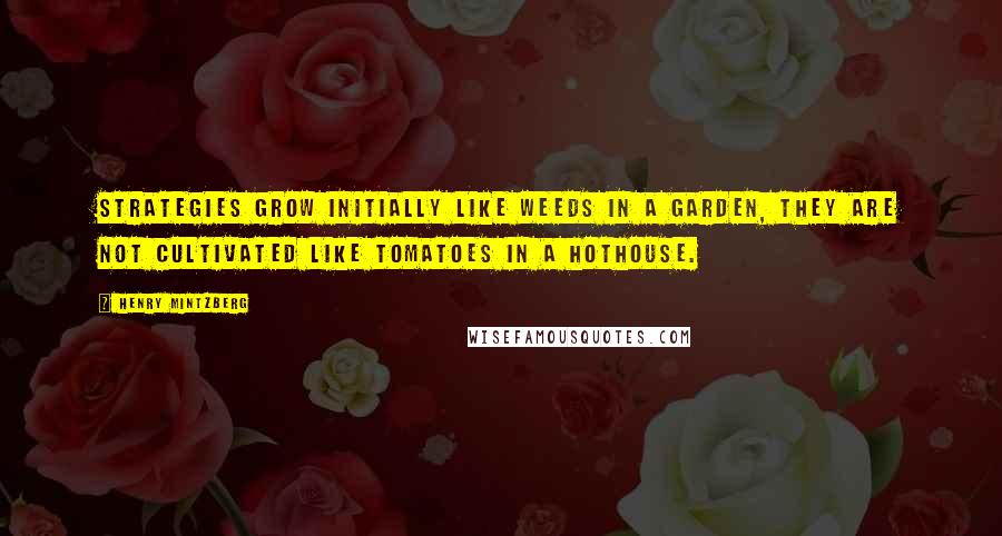 Henry Mintzberg Quotes: Strategies grow initially like weeds in a garden, they are not cultivated like tomatoes in a hothouse.