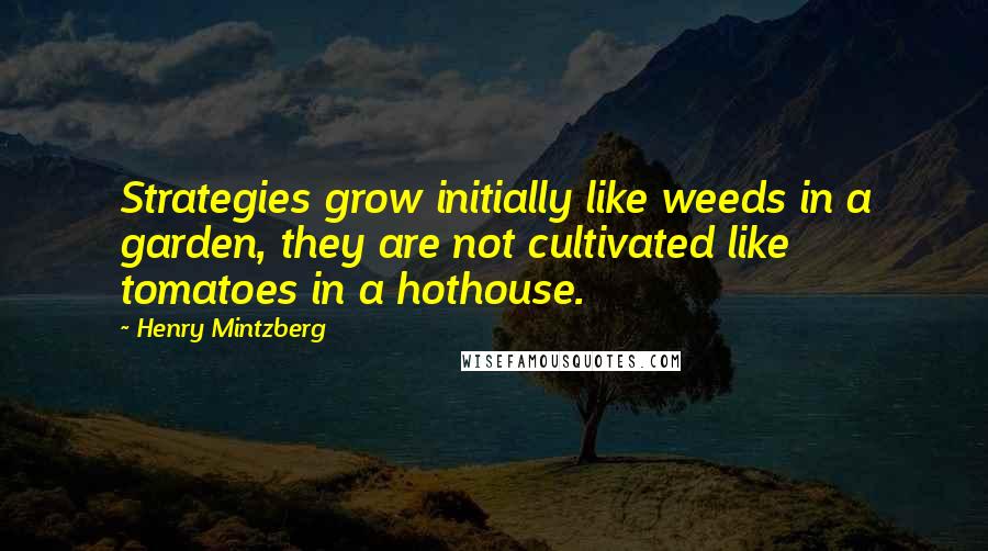 Henry Mintzberg Quotes: Strategies grow initially like weeds in a garden, they are not cultivated like tomatoes in a hothouse.