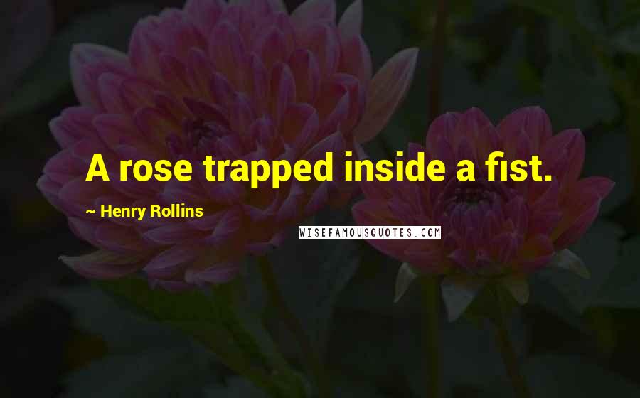 Henry Rollins Quotes: A rose trapped inside a fist.