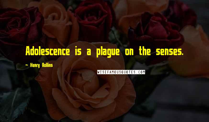 Henry Rollins Quotes: Adolescence is a plague on the senses.