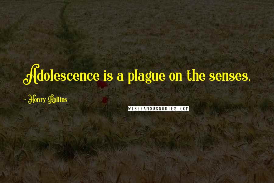 Henry Rollins Quotes: Adolescence is a plague on the senses.