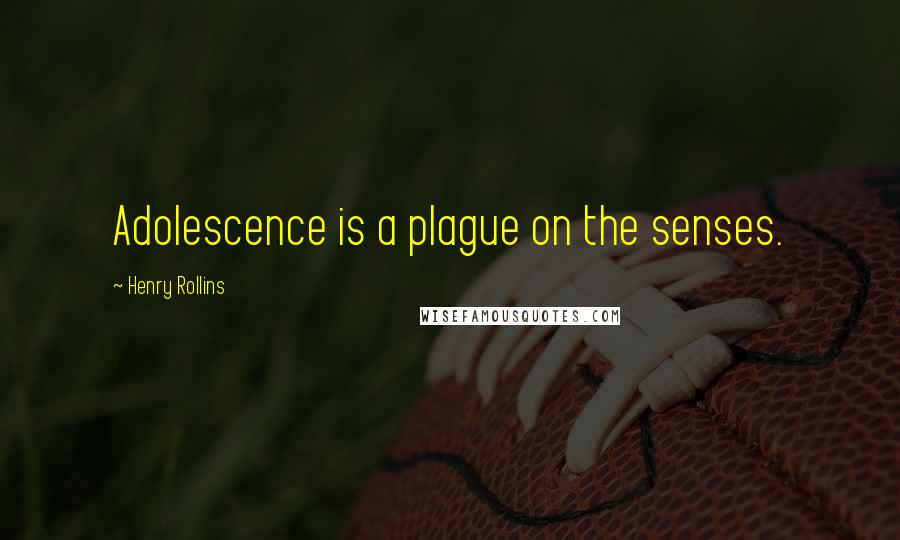 Henry Rollins Quotes: Adolescence is a plague on the senses.