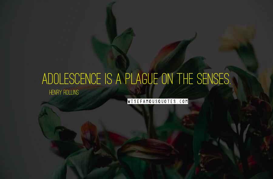 Henry Rollins Quotes: Adolescence is a plague on the senses.