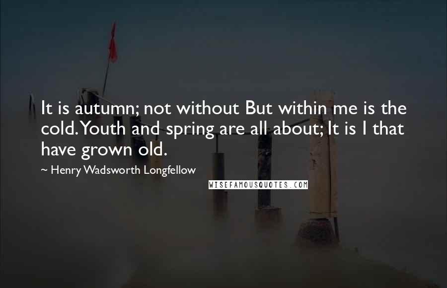 Henry Wadsworth Longfellow Quotes: It is autumn; not without But within me is the cold. Youth and spring are all about; It is I that have grown old.