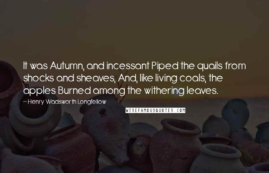 Henry Wadsworth Longfellow Quotes: It was Autumn, and incessant Piped the quails from shocks and sheaves, And, like living coals, the apples Burned among the withering leaves.