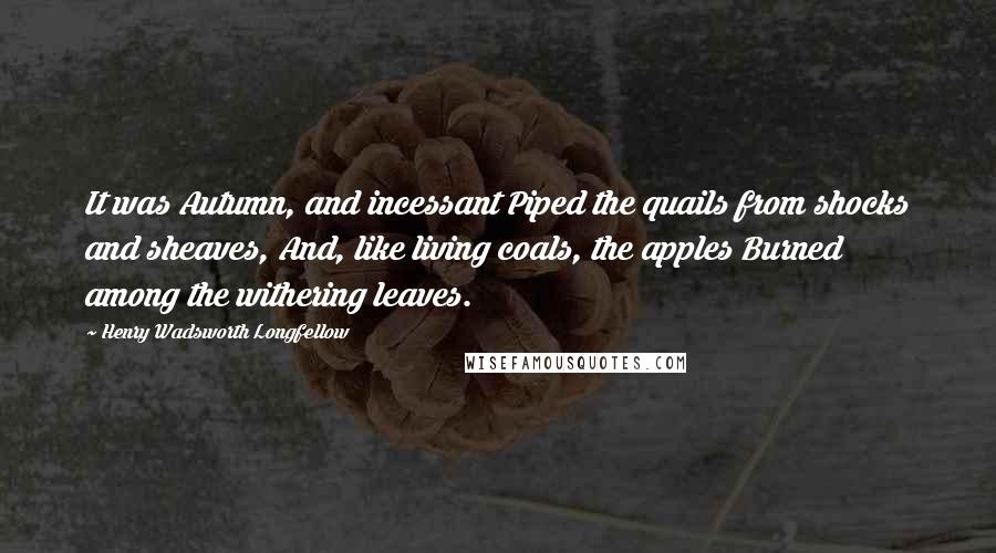 Henry Wadsworth Longfellow Quotes: It was Autumn, and incessant Piped the quails from shocks and sheaves, And, like living coals, the apples Burned among the withering leaves.