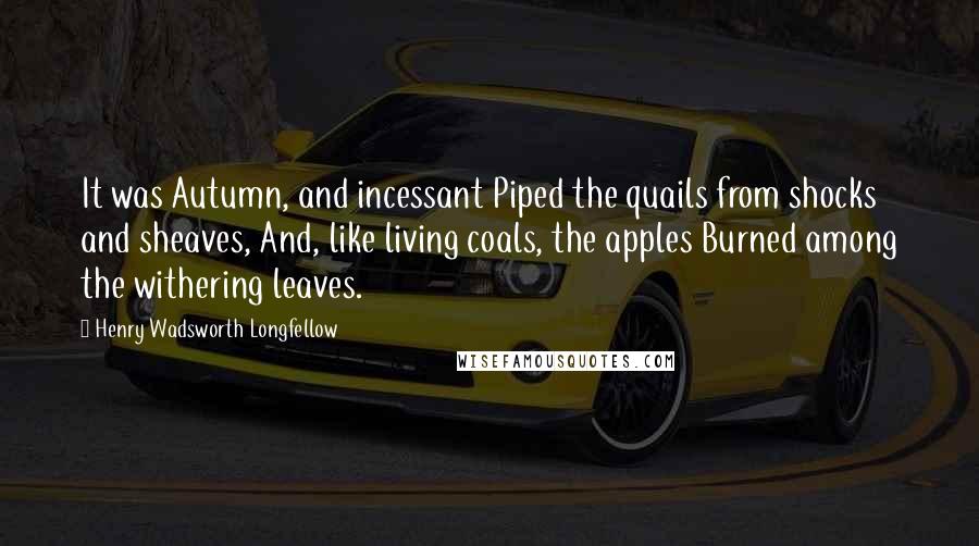 Henry Wadsworth Longfellow Quotes: It was Autumn, and incessant Piped the quails from shocks and sheaves, And, like living coals, the apples Burned among the withering leaves.