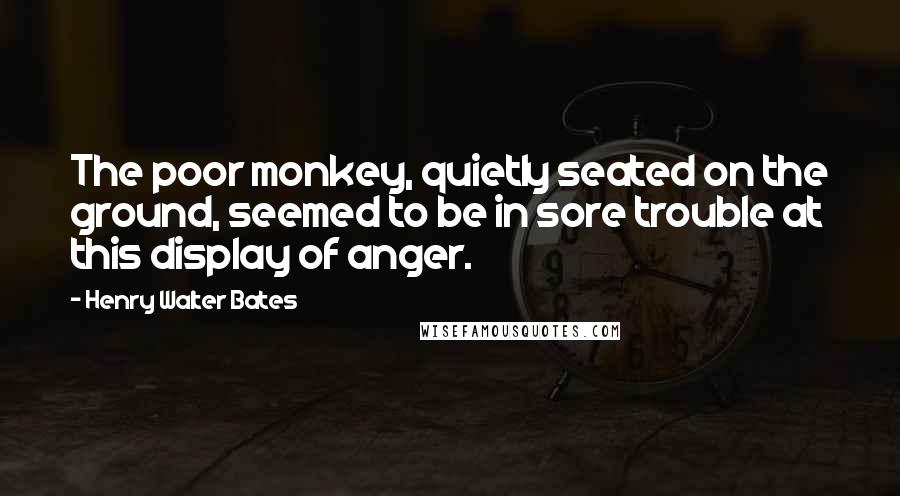 Henry Walter Bates Quotes: The poor monkey, quietly seated on the ground, seemed to be in sore trouble at this display of anger.