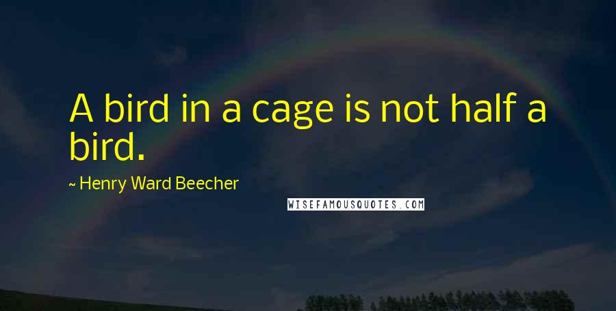 Henry Ward Beecher Quotes: A bird in a cage is not half a bird.