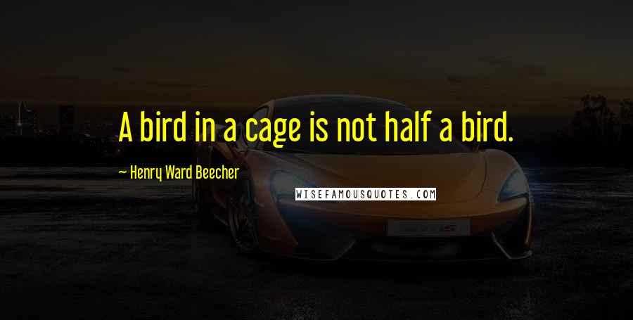 Henry Ward Beecher Quotes: A bird in a cage is not half a bird.