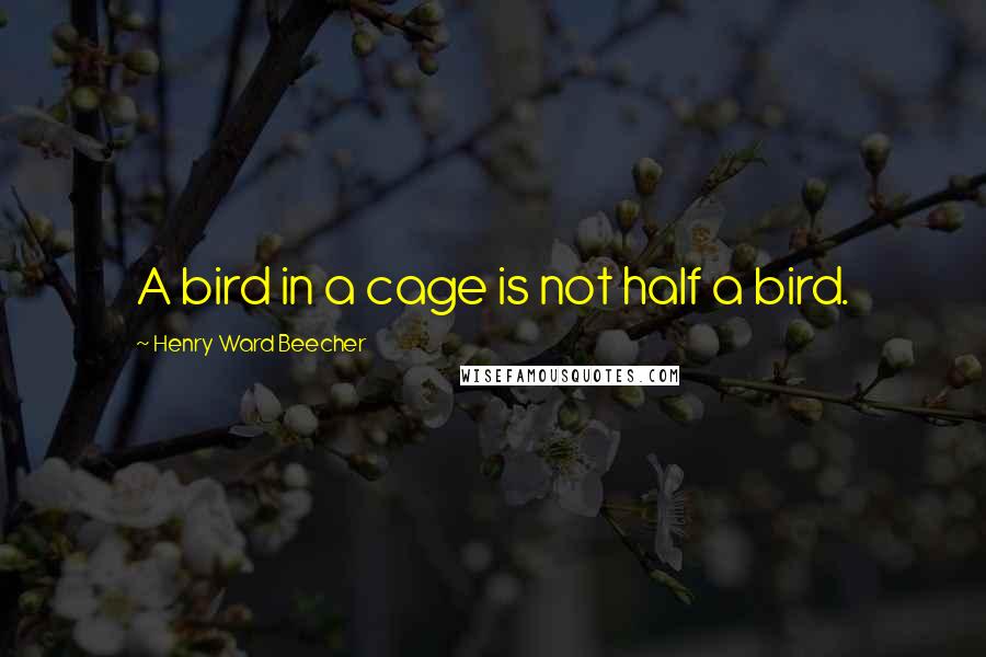 Henry Ward Beecher Quotes: A bird in a cage is not half a bird.